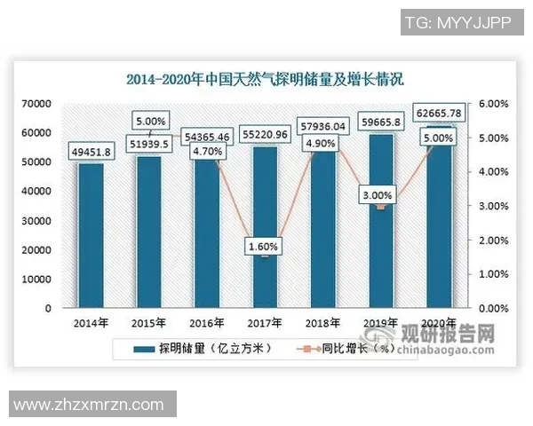 提升数据分析团队在LNG项目中的协作表现与效率研究